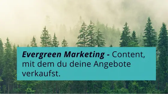 Evergreen Content für Evergreen Marketing - Immergrüner Wald